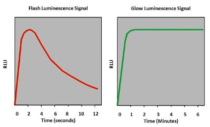 Luminescence- flash or glow reaction