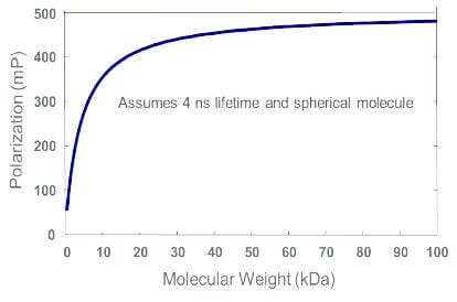 Fluorescence polarization G factor