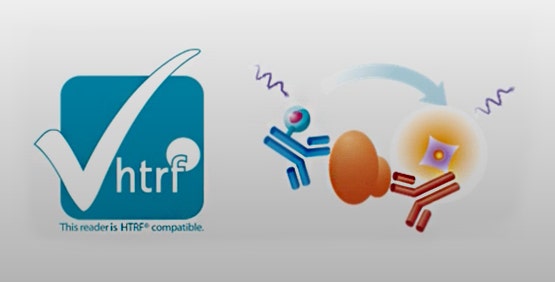 Time-Resolved Fluorescence TRF / TR-FRET (HTRF)