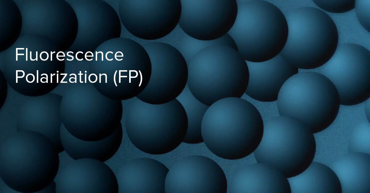 Fluorescence Polarization (FP)