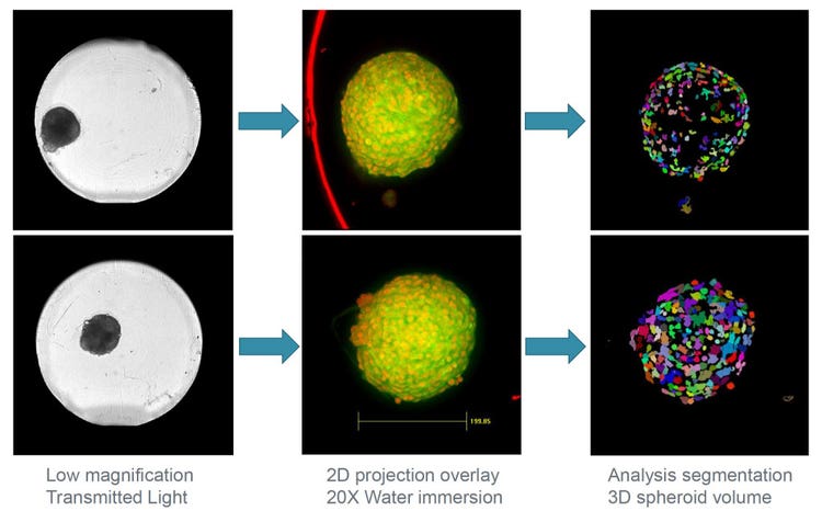 QuickID was performed with a 10X objective to quickly image an entire microplate