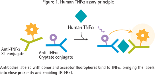 Time-Resolved Fluorescence TRF / TR-FRET (HTRF)