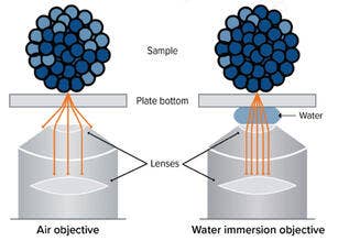 A diagram depicting in vivo and in vitro testing.