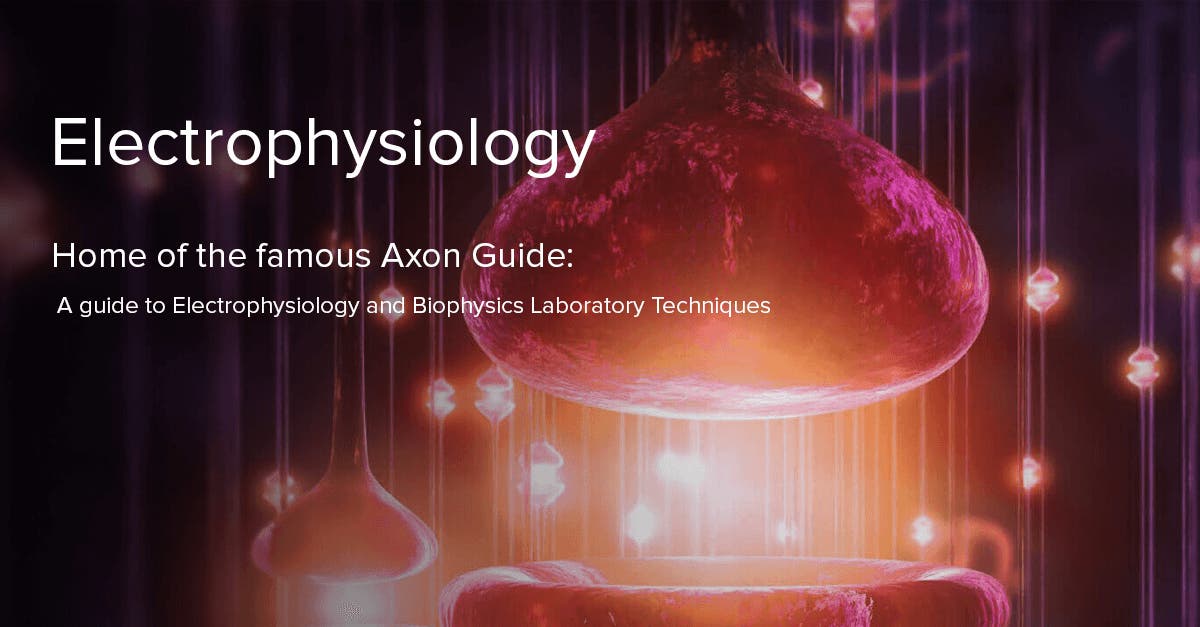 Electrophysiology, Patch Clamp Technique, Cardiac Electrophysiology
