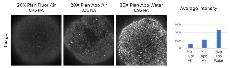 3D assay using water immersion objective