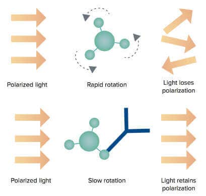 ValitaTITER assay principle using the FP technology