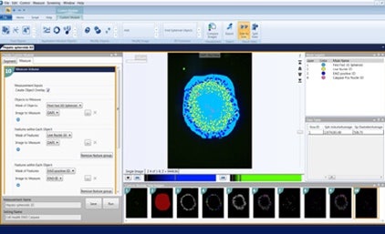 Simplify viewing and quantification of 3D structures