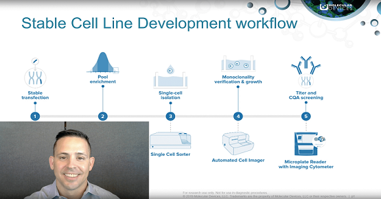 Stable Cell Line Development Generation