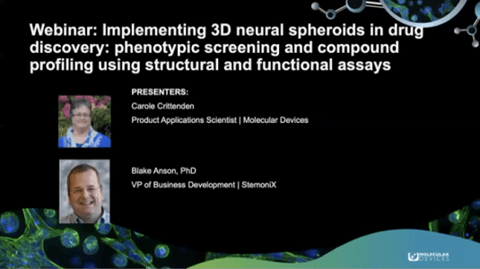 Implementing 3D Neural Spheroids in Drug Discovery